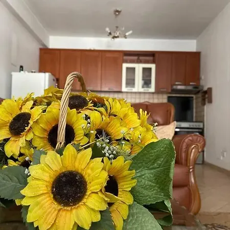 Sweet Home. Διαμέρισμα Τίρανα